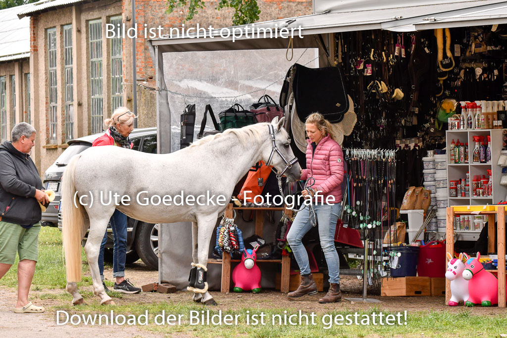 Goldene Schärpe Ponys in Hohenberg Krusemark 2024 | Impressionen GS Pony_072