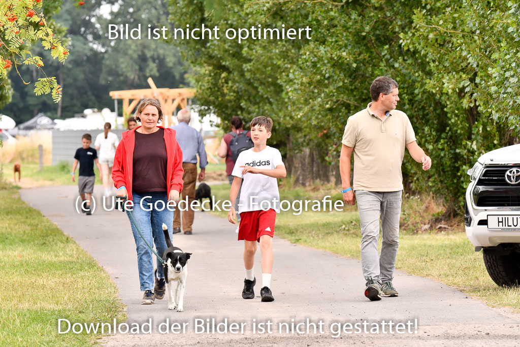 Goldene Schärpe Ponys in Hohenberg Krusemark 2024 | Impressionen GS Pony_085