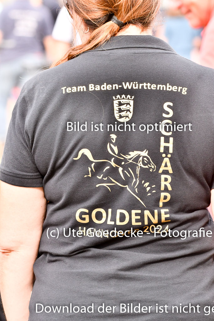 Goldene Schärpe Ponys in Hohenberg Krusemark 2024 | Impressionen  GS Pony_129 