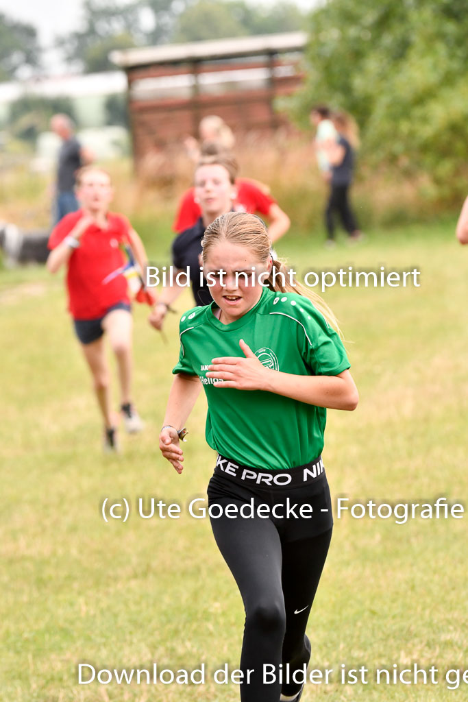 Goldene Schärpe Ponys in Hohenberg Krusemark 2024 | 12072024 Sporttest_077 