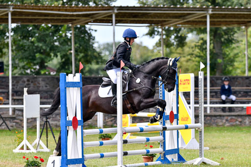 Goldene Schärpe Ponys in Hohenberg Krusemark 2024 | 14072024 Springen 1 Abt 