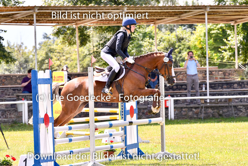 Goldene Schärpe Ponys in Hohenberg Krusemark 2024 | 14072024 Springen 2Abt_001 