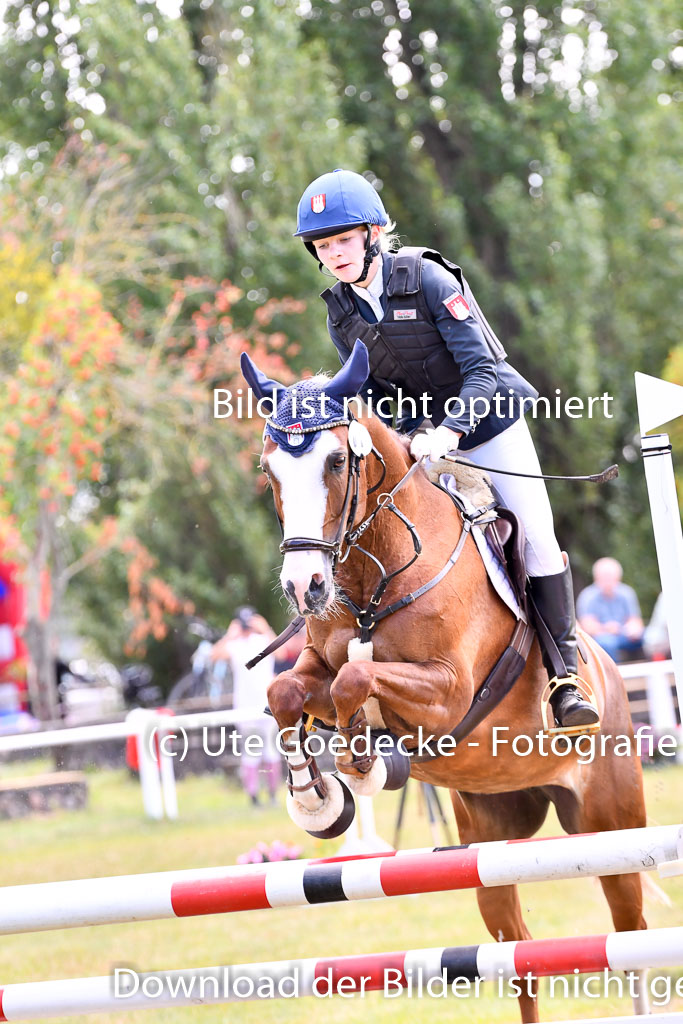 Goldene Schärpe Ponys in Hohenberg Krusemark 2024 | 14072024 Springen 2Abt_006 