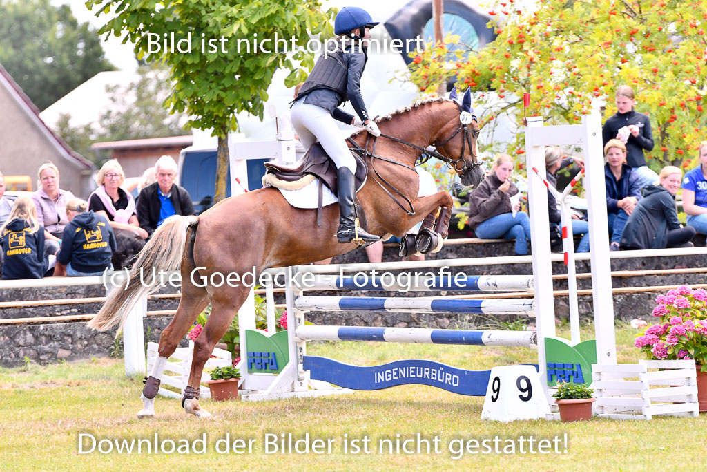 Goldene Schärpe Ponys in Hohenberg Krusemark 2024 | 14072024 Springen 2Abt_007 