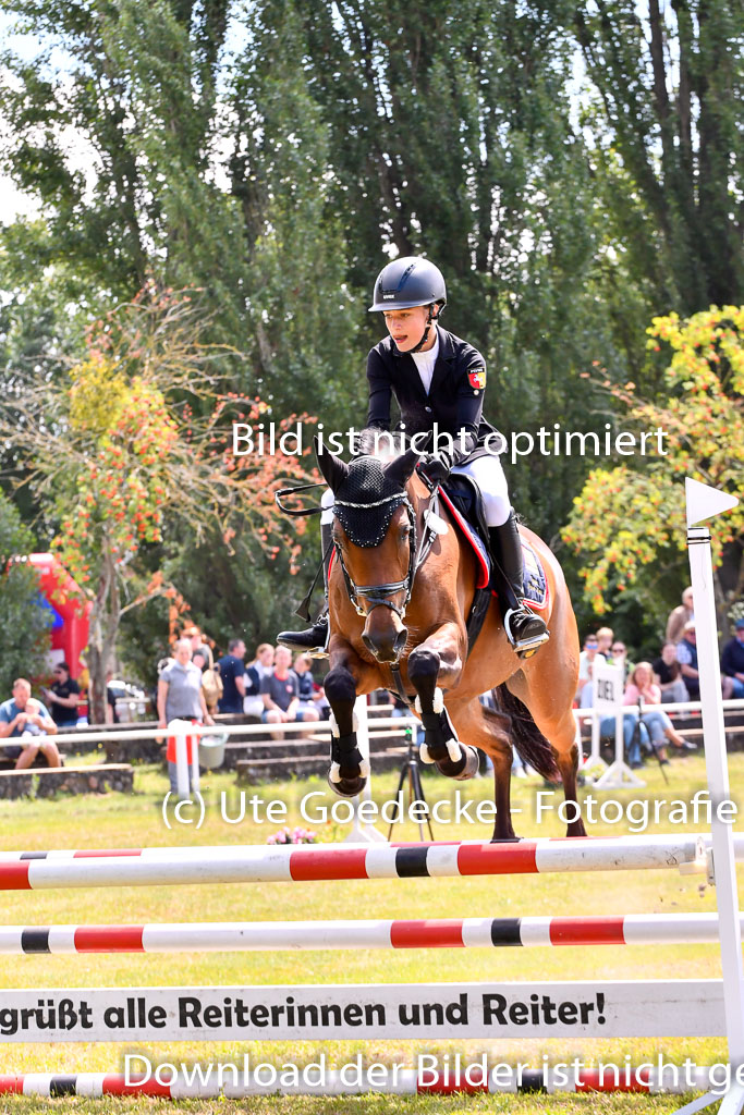 Goldene Schärpe Ponys in Hohenberg Krusemark 2024 | 14072024 Springen 2Abt_016 