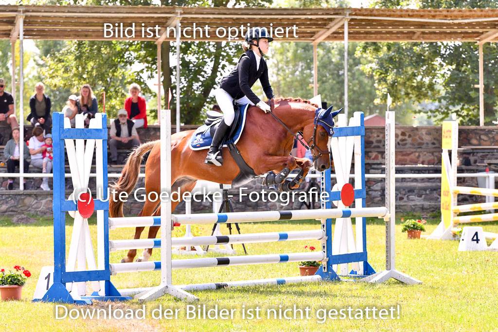 Goldene Schärpe Ponys in Hohenberg Krusemark 2024 | 14072024 Springen 2Abt_018 