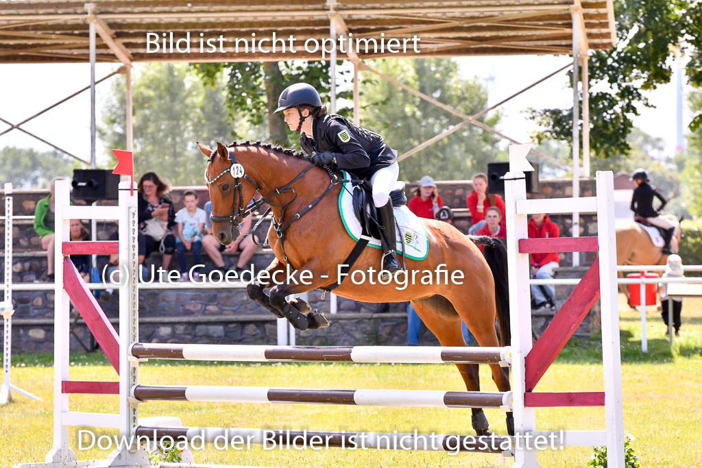 Goldene Schärpe Ponys in Hohenberg Krusemark 2024 | 14072024 Springen 2Abt_029 