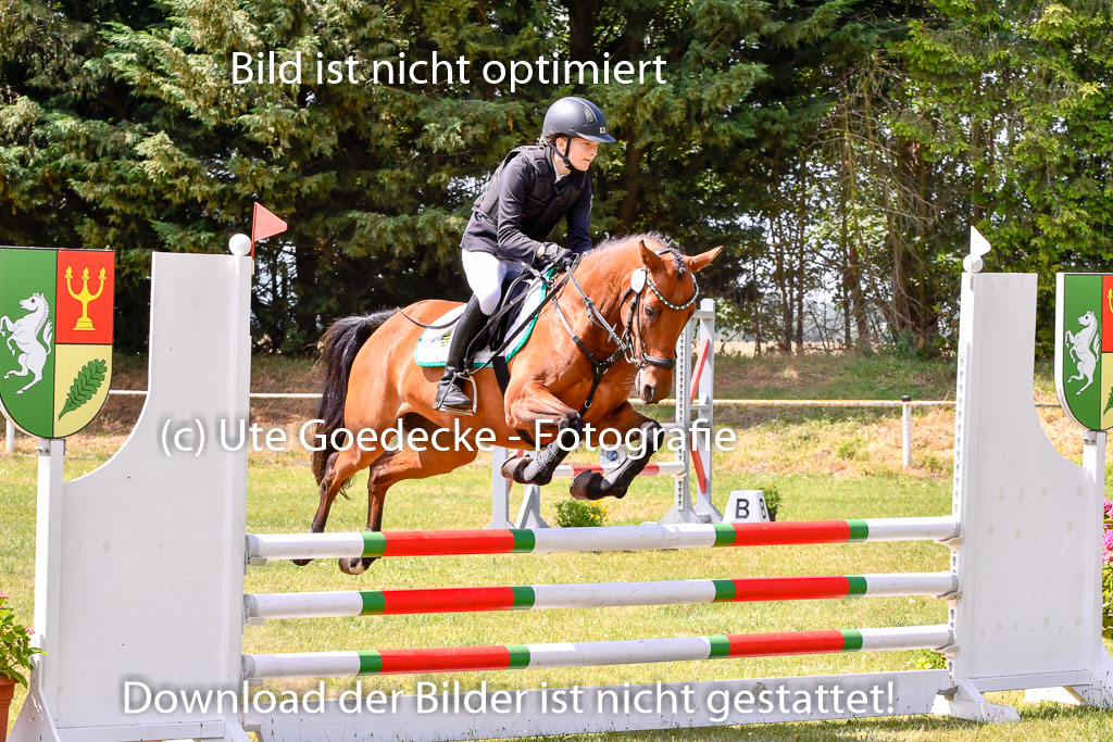 Goldene Schärpe Ponys in Hohenberg Krusemark 2024 | 14072024 Springen 2Abt_031 