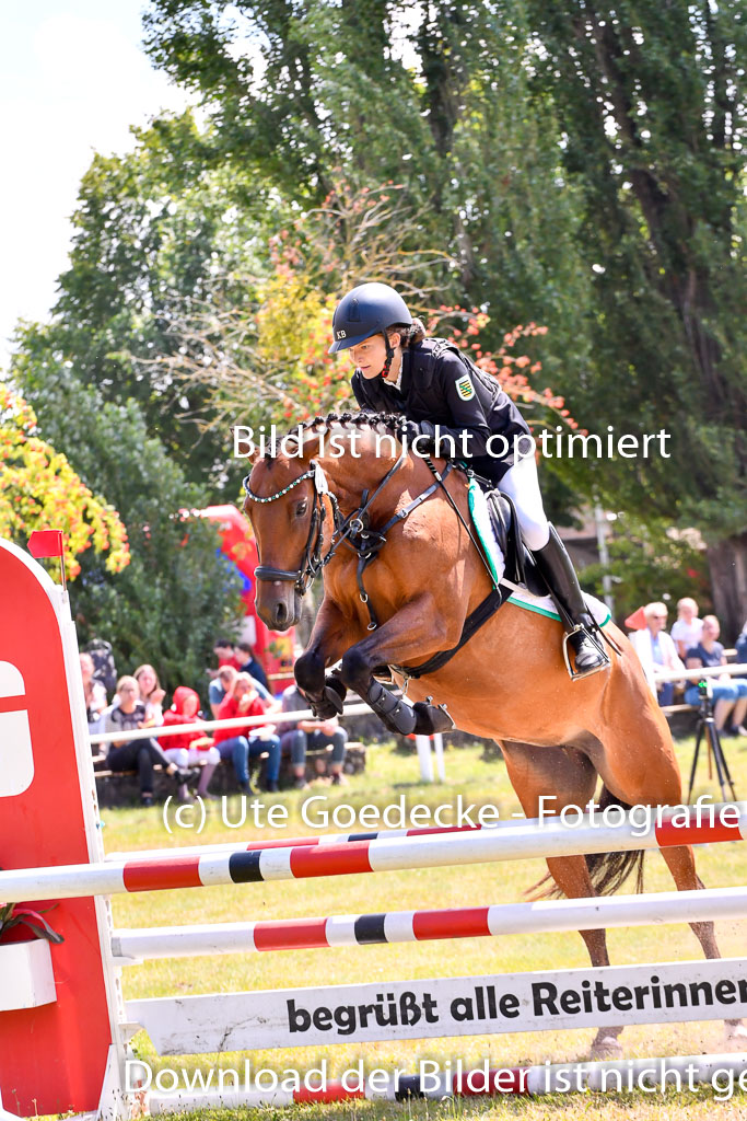 Goldene Schärpe Ponys in Hohenberg Krusemark 2024 | 14072024 Springen 2Abt_034 