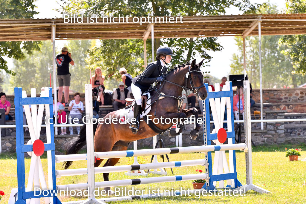 Goldene Schärpe Ponys in Hohenberg Krusemark 2024 | 14072024 Springen 2Abt_057 