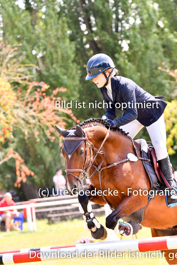 Goldene Schärpe Ponys in Hohenberg Krusemark 2024 | 14072024 Springen 2Abt_074 