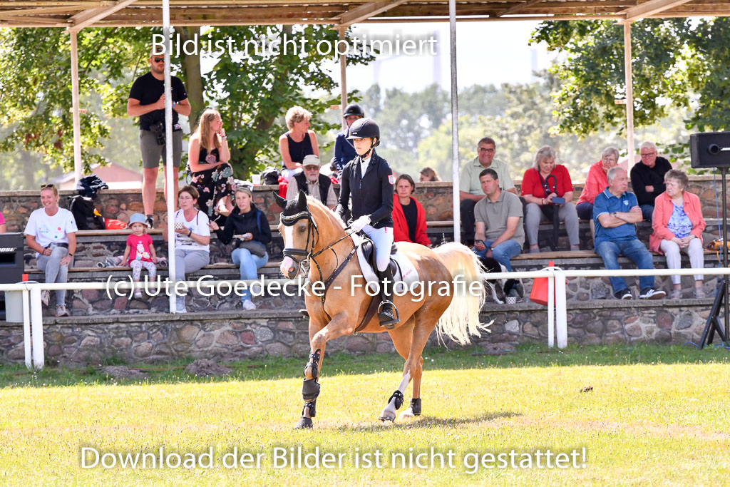 Goldene Schärpe Ponys in Hohenberg Krusemark 2024 | 14072024 Springen 2Abt_077 