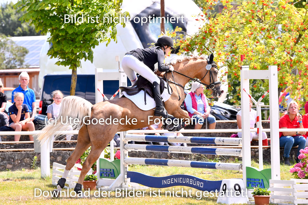 Goldene Schärpe Ponys in Hohenberg Krusemark 2024 | 14072024 Springen 2Abt_086 