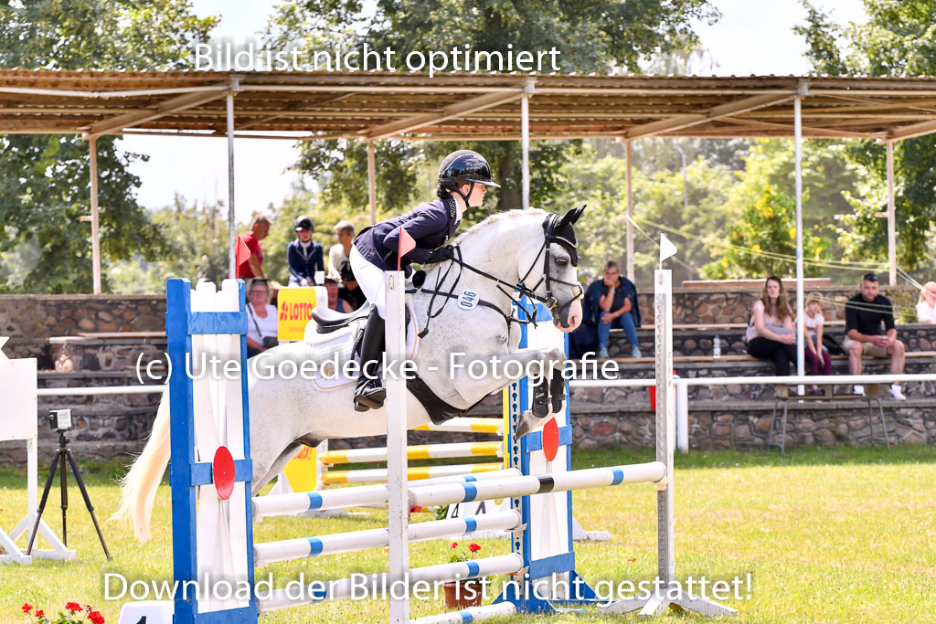 Goldene Schärpe Ponys in Hohenberg Krusemark 2024 | 14072024 Springen 2Abt_095 