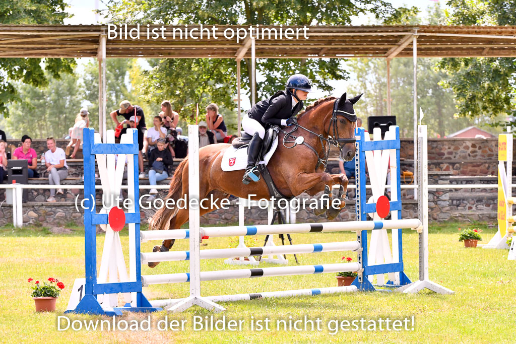 Goldene Schärpe Ponys in Hohenberg Krusemark 2024 | 14072024 Springen 2Abt_130 