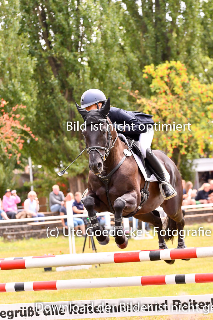 Goldene Schärpe Ponys in Hohenberg Krusemark 2024 | 14072024 Springen 2Abt_149 