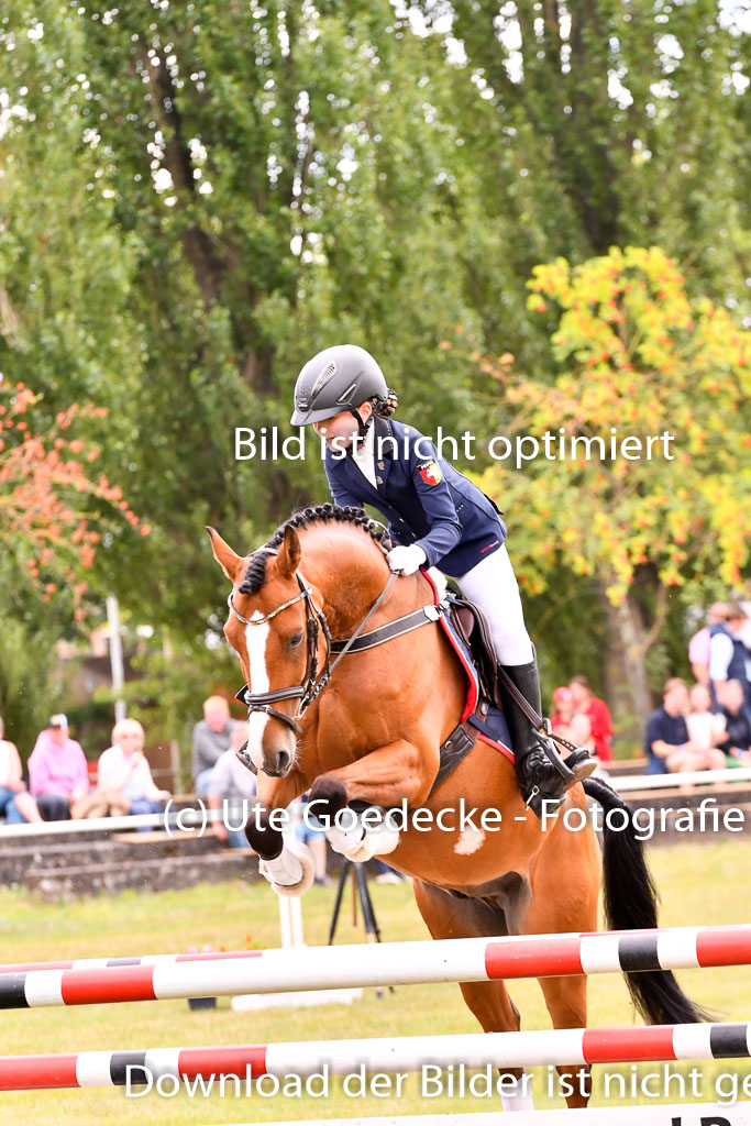 Goldene Schärpe Ponys in Hohenberg Krusemark 2024 | 14072024 Springen 2Abt_158 