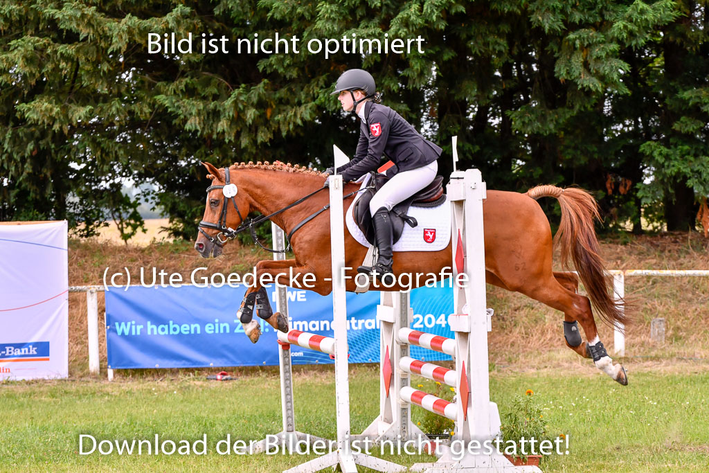 Goldene Schärpe Ponys in Hohenberg Krusemark 2024 | 14072024 Springen 2Abt_165 