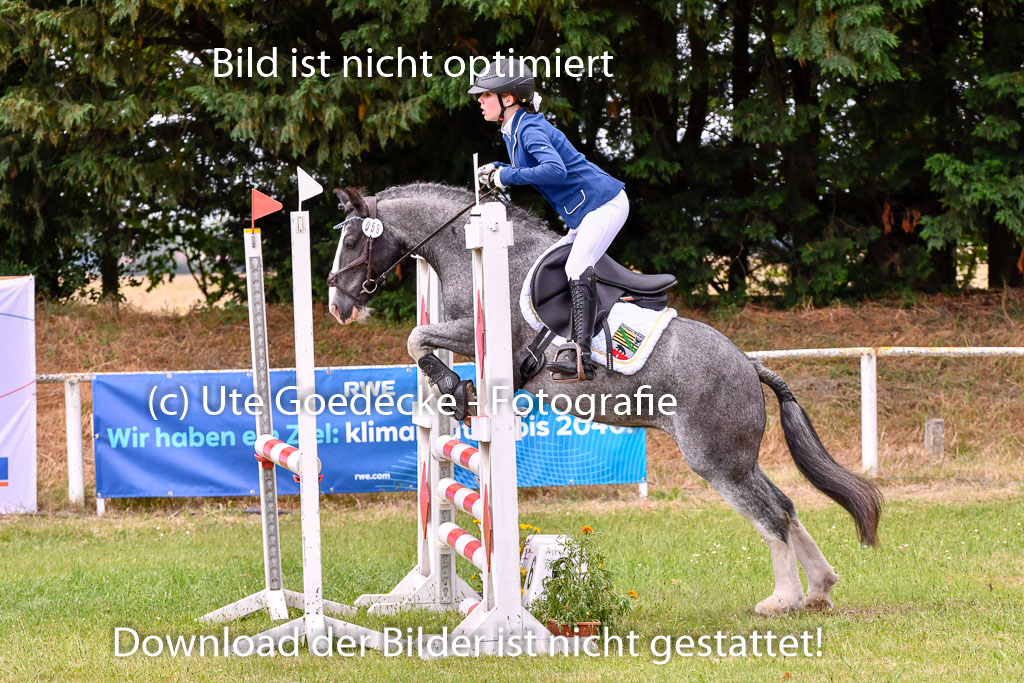 Goldene Schärpe Ponys in Hohenberg Krusemark 2024 | 14072024 Springen 2Abt_175 