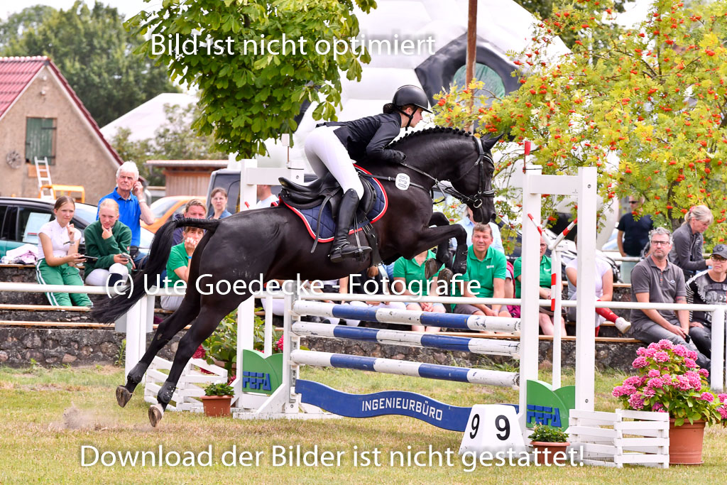 Goldene Schärpe Ponys in Hohenberg Krusemark 2024 | 14072024 Springen 2Abt_206 