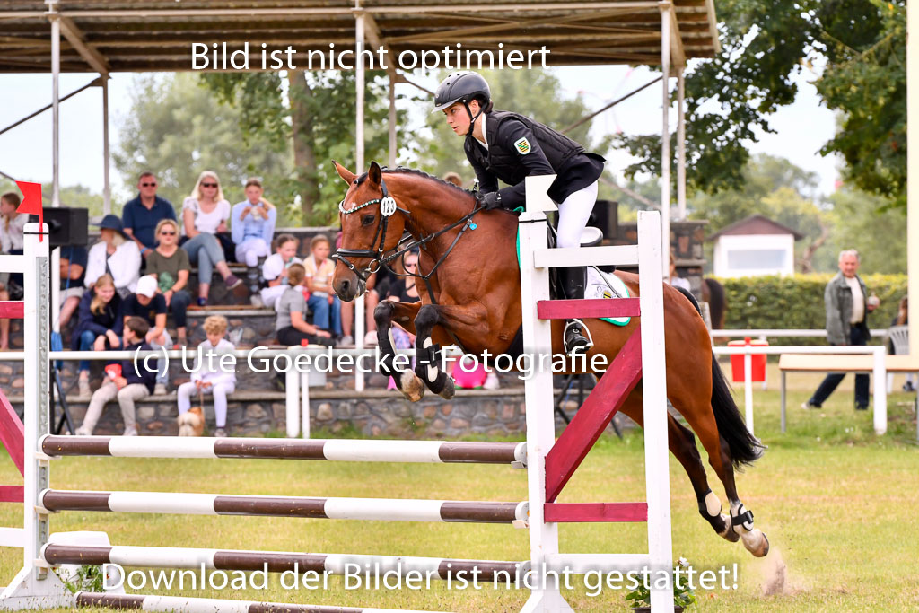 Goldene Schärpe Ponys in Hohenberg Krusemark 2024 | 14072024 Springen 2Abt_217 