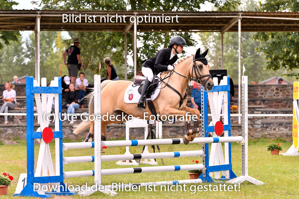 Goldene Schärpe Ponys in Hohenberg Krusemark 2024 | 14072024 Springen 2Abt_225 