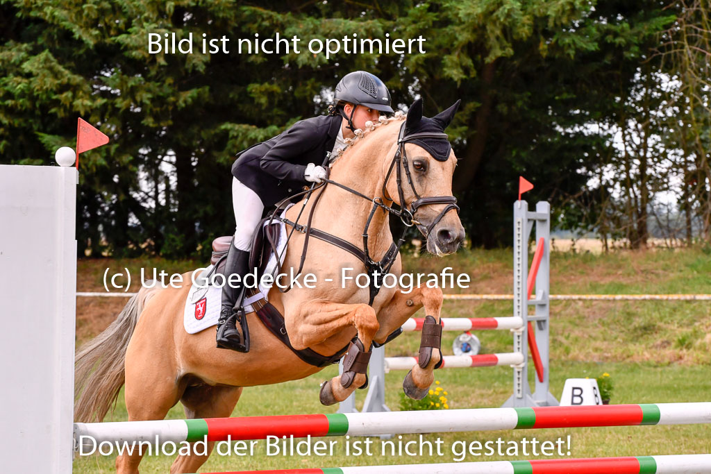 Goldene Schärpe Ponys in Hohenberg Krusemark 2024 | 14072024 Springen 2Abt_227 