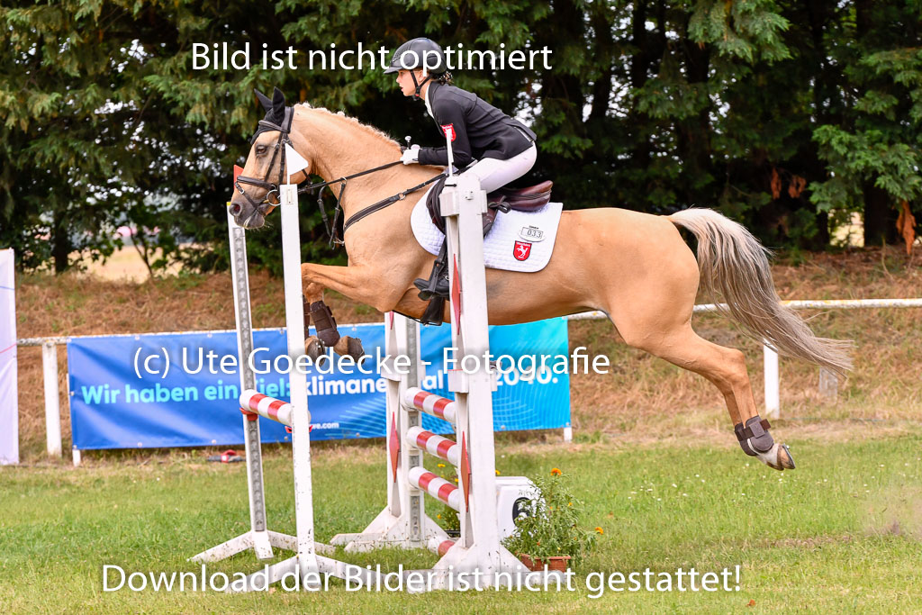 Goldene Schärpe Ponys in Hohenberg Krusemark 2024 | 14072024 Springen 2Abt_230 