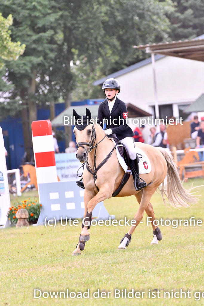 Goldene Schärpe Ponys in Hohenberg Krusemark 2024 | 14072024 Springen 2Abt_232 