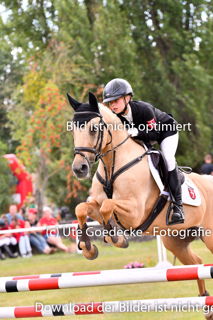 Goldene Schärpe Ponys in Hohenberg Krusemark 2024 | 14072024 Springen 2Abt_234 