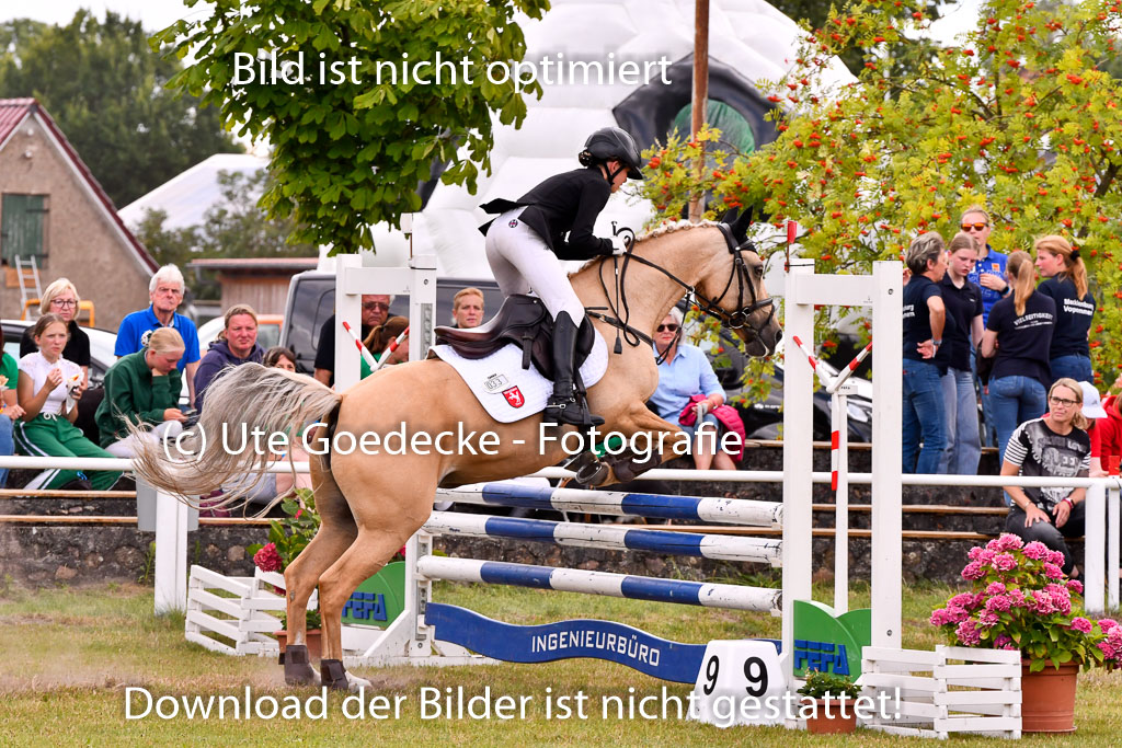 Goldene Schärpe Ponys in Hohenberg Krusemark 2024 | 14072024 Springen 2Abt_235 