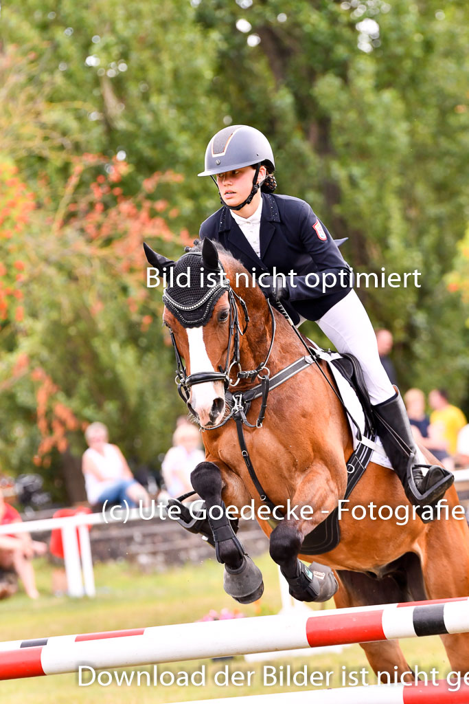 Goldene Schärpe Ponys in Hohenberg Krusemark 2024 | 14072024 Springen 2Abt_245 