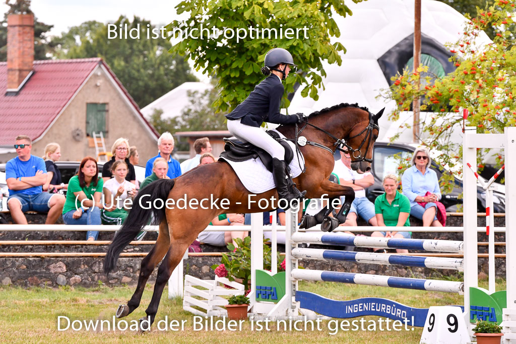 Goldene Schärpe Ponys in Hohenberg Krusemark 2024 | 14072024 Springen 2Abt_247 