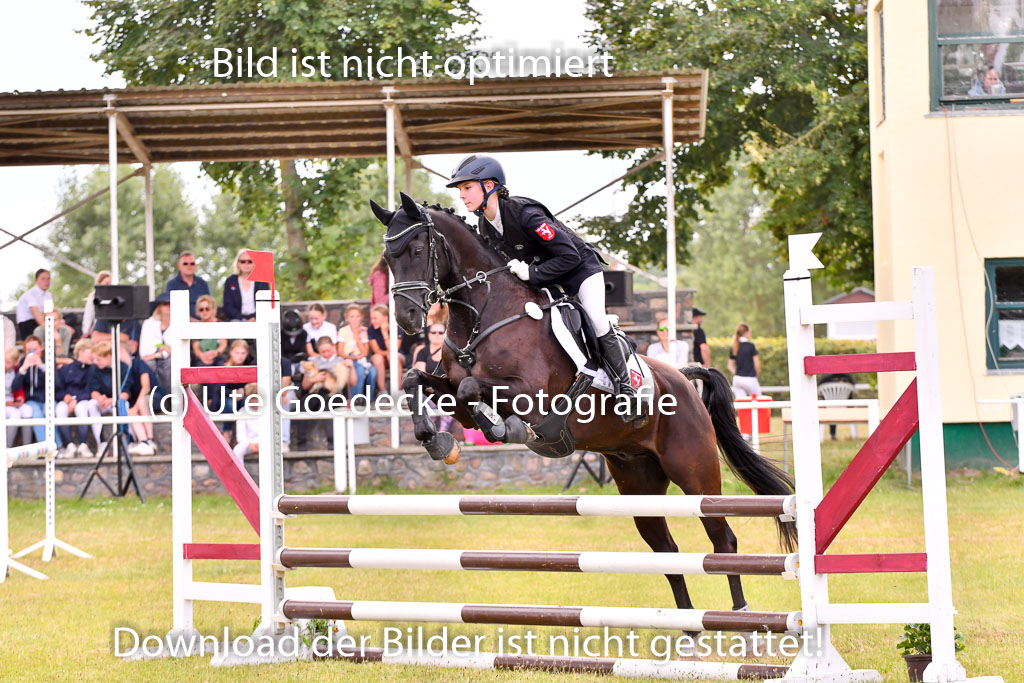 Goldene Schärpe Ponys in Hohenberg Krusemark 2024 | 14072024 Springen 2Abt_250 