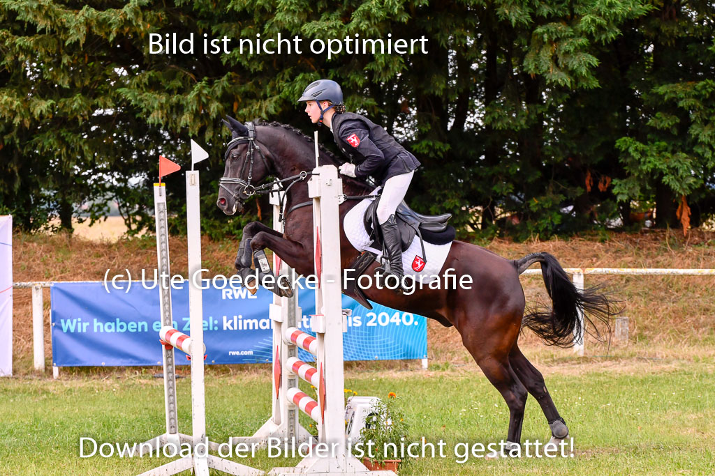 Goldene Schärpe Ponys in Hohenberg Krusemark 2024 | 14072024 Springen 2Abt_253 