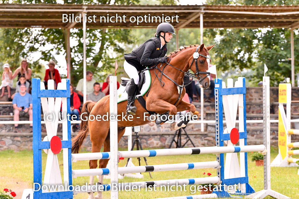 Goldene Schärpe Ponys in Hohenberg Krusemark 2024 | 14072024 Springen 2Abt_266 