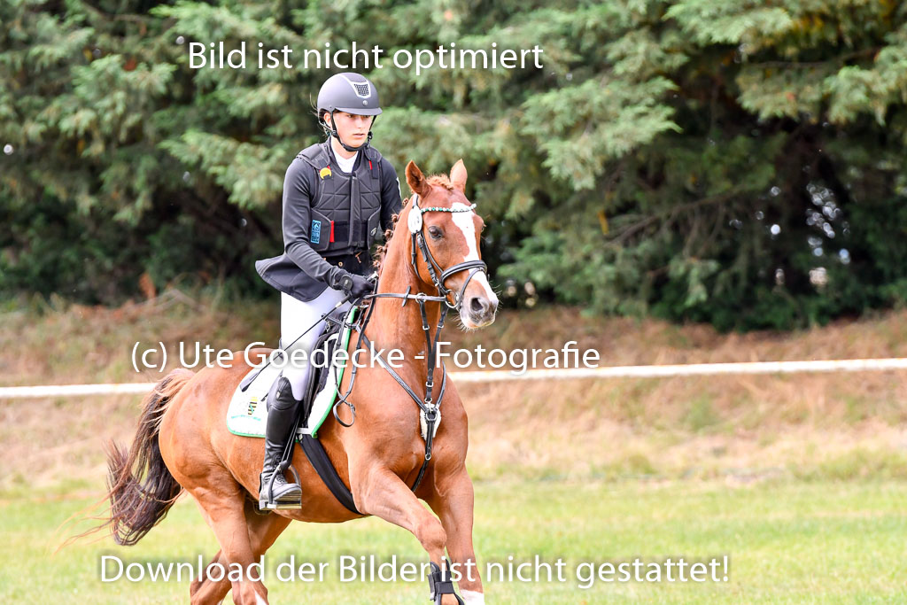 Goldene Schärpe Ponys in Hohenberg Krusemark 2024 | 14072024 Springen 2Abt_269 