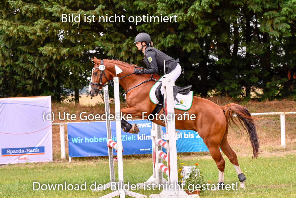 Goldene Schärpe Ponys in Hohenberg Krusemark 2024 | 14072024 Springen 2Abt_271 