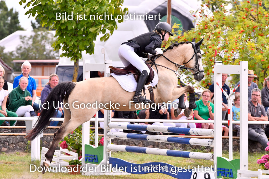 Goldene Schärpe Ponys in Hohenberg Krusemark 2024 | 14072024 Springen 2Abt_283 