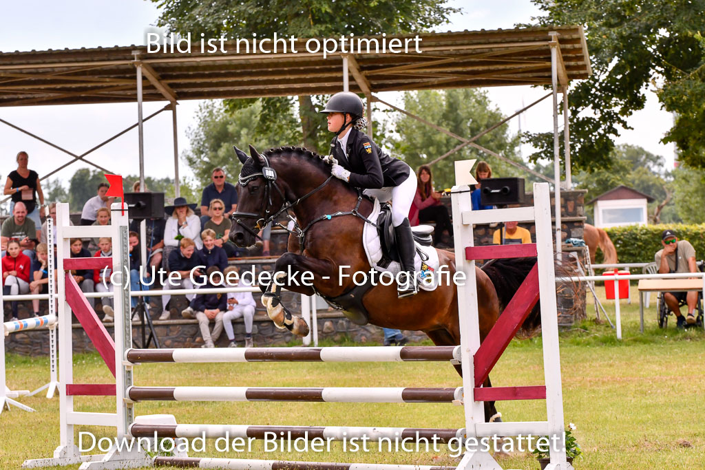 Goldene Schärpe Ponys in Hohenberg Krusemark 2024 | 14072024 Springen 2Abt_286 