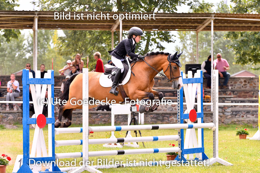 Goldene Schärpe Ponys in Hohenberg Krusemark 2024 | 14072024 Springen 2Abt_289 