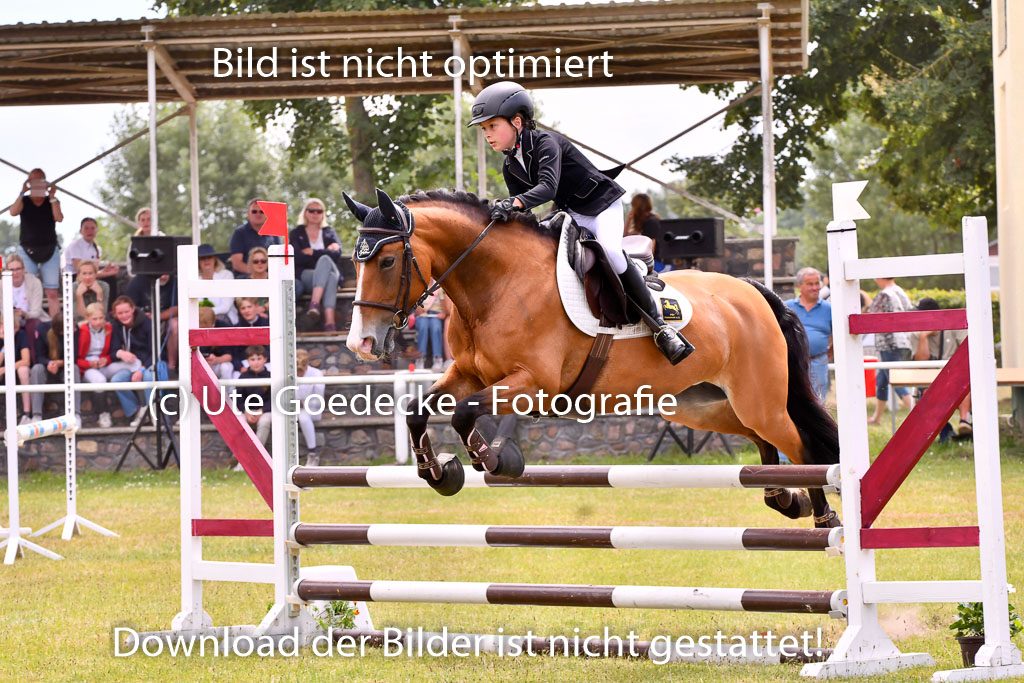 Goldene Schärpe Ponys in Hohenberg Krusemark 2024 | 14072024 Springen 2Abt_291 