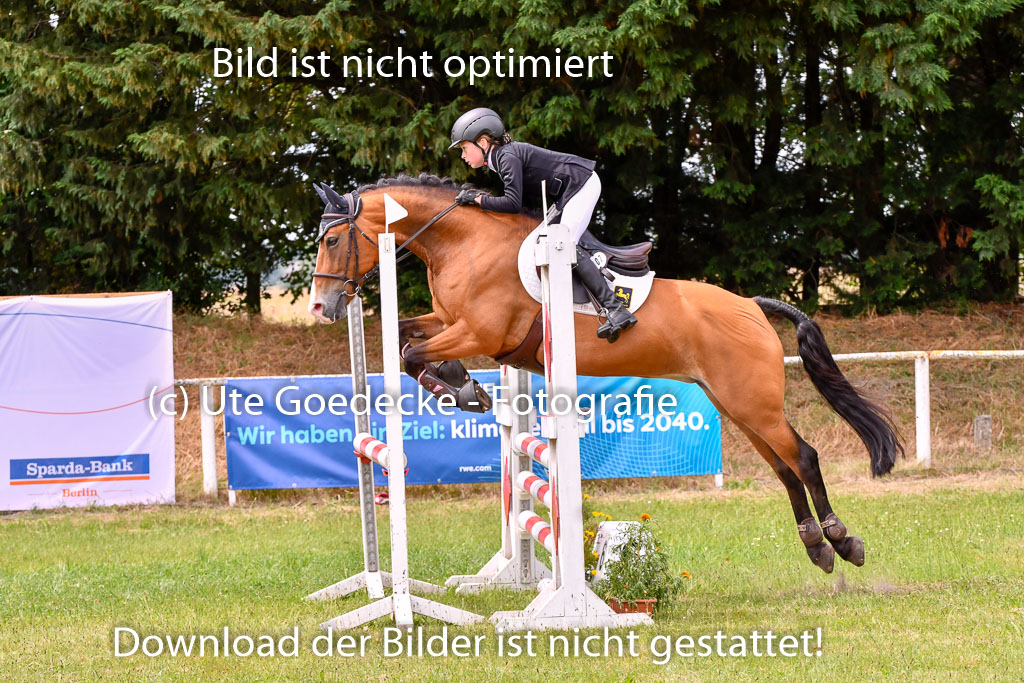 Goldene Schärpe Ponys in Hohenberg Krusemark 2024 | 14072024 Springen 2Abt_292 