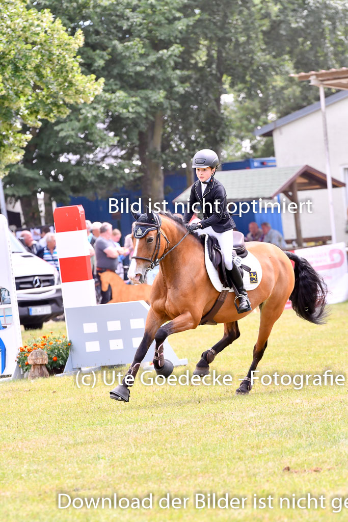 Goldene Schärpe Ponys in Hohenberg Krusemark 2024 | 14072024 Springen 2Abt_294 