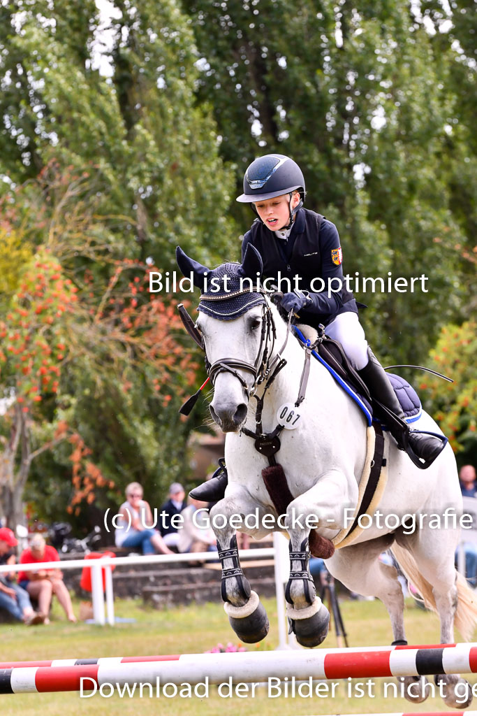 Goldene Schärpe Ponys in Hohenberg Krusemark 2024 | 14072024 Springen 2Abt_309 