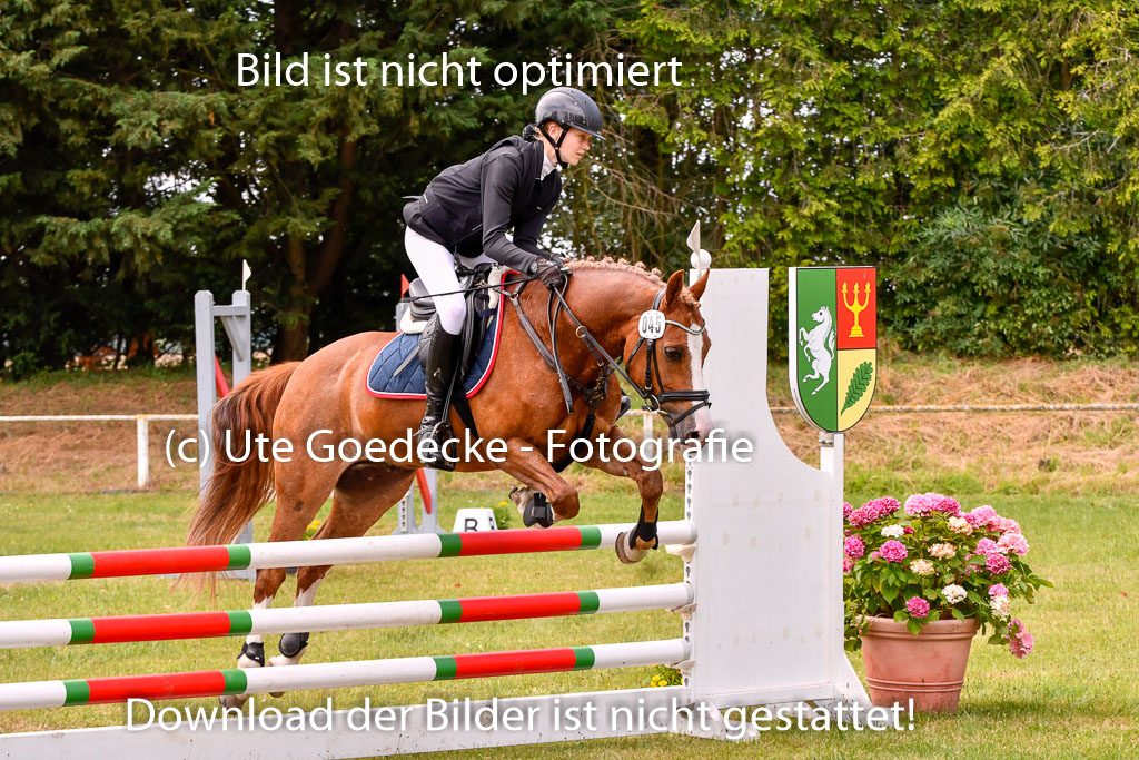 Goldene Schärpe Ponys in Hohenberg Krusemark 2024 | 14072024 Springen 2Abt_315 