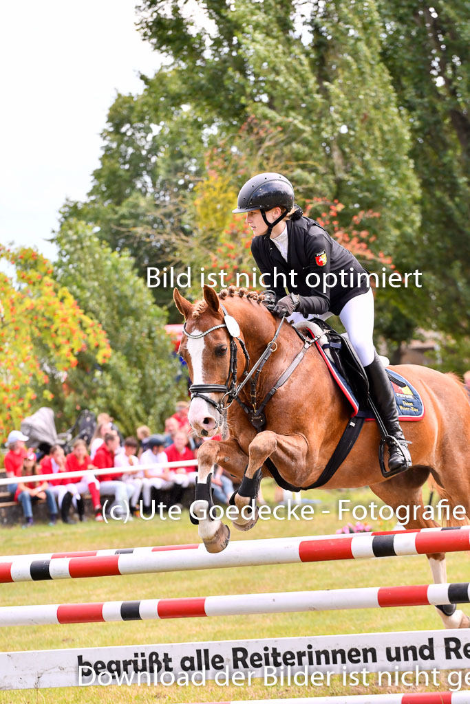 Goldene Schärpe Ponys in Hohenberg Krusemark 2024 | 14072024 Springen 2Abt_321 