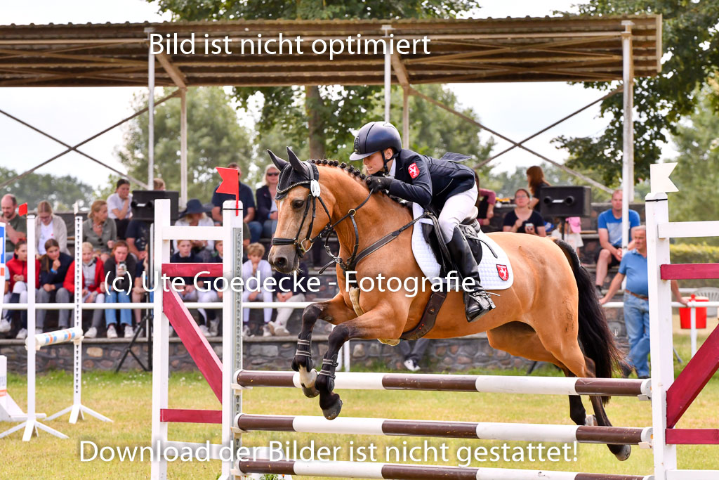 Goldene Schärpe Ponys in Hohenberg Krusemark 2024 | 14072024 Springen 2Abt_326 