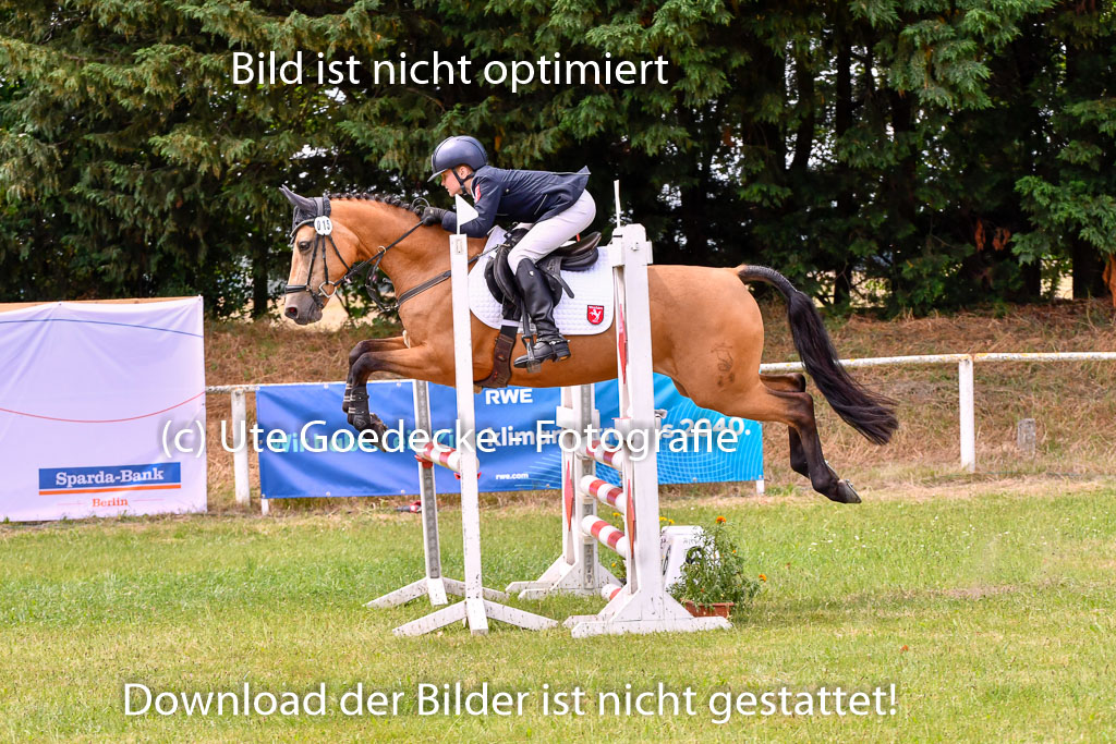 Goldene Schärpe Ponys in Hohenberg Krusemark 2024 | 14072024 Springen 2Abt_330 