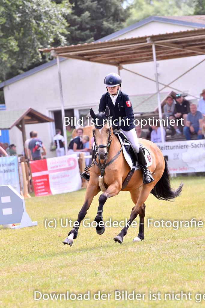 Goldene Schärpe Ponys in Hohenberg Krusemark 2024 | 14072024 Springen 2Abt_332 